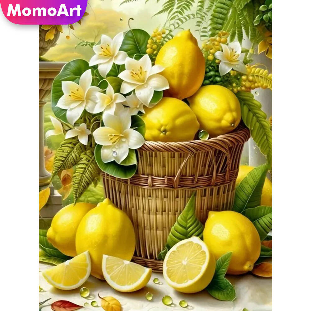 Momoart chat diamant peinture  - Embroidery Daisy avis et prix