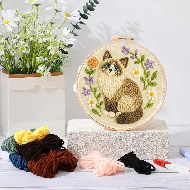 CHENISTORY Kit de broderie au  - Punch Needle Handle avis et prix